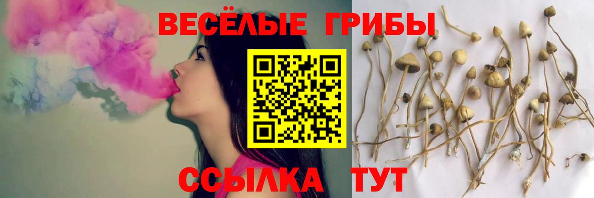 Галлюциногенные грибы Psilocybine cubensis  Вход с VPN  Карпинск 